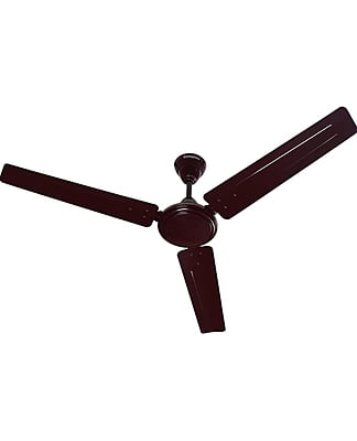 Fan (Ceiling)
